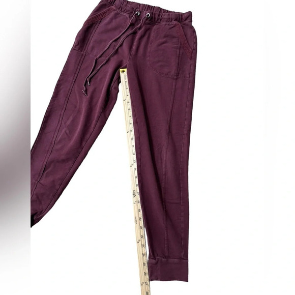 Anthropologie Saturday Sunday | Theo Utility Jogger Pants in Burgundy (XSmall) - Picture 6 of 8
